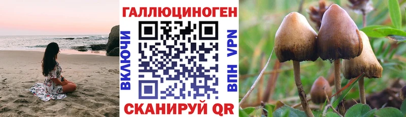 Псилоцибиновые грибы Cubensis  цена наркотик  kraken сайт  Унеча 
