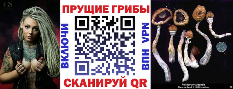 Псилоцибиновые грибы Cubensis Унеча